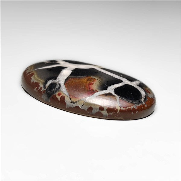 Septarian