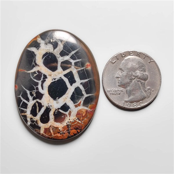 Septarian