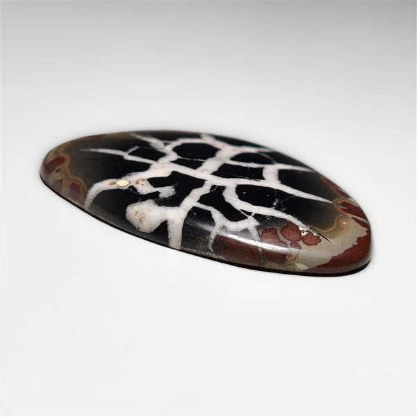 Septarian