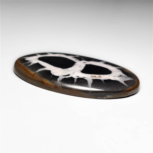 Septarian