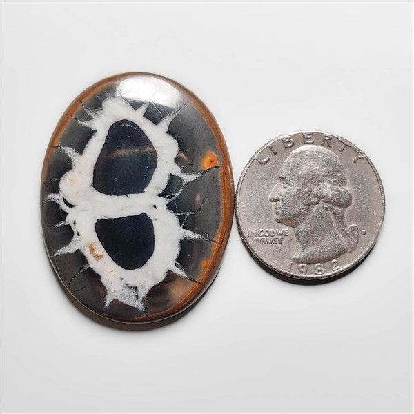 Septarian