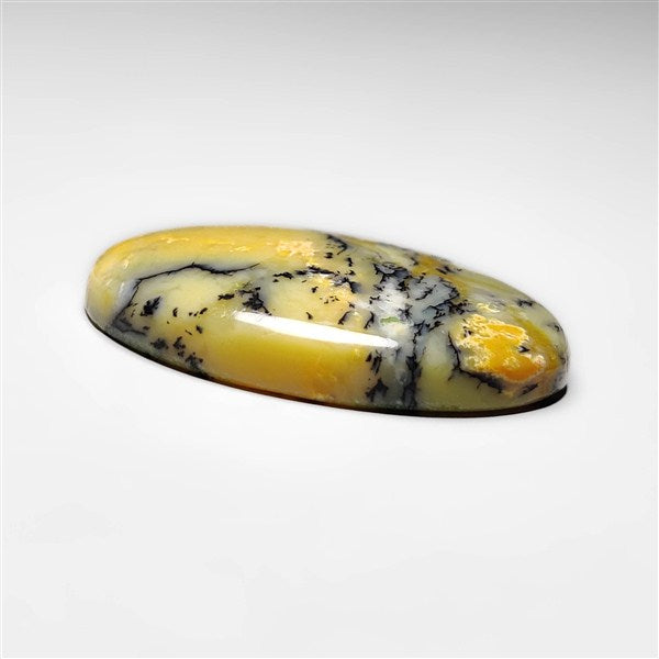Dendritic Agate