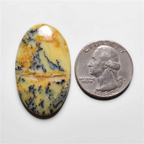 Dendritic Agate