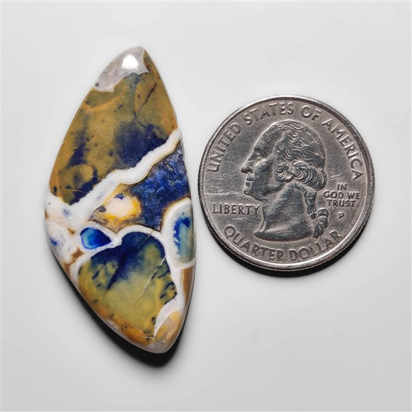 Cobra Jasper