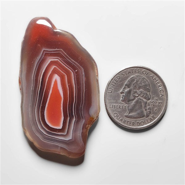 Botswana Agate