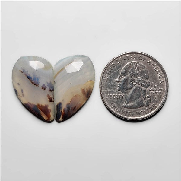 Scenic Agate