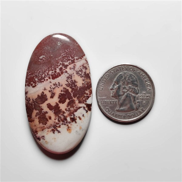 Porcelian Jasper Cabochon