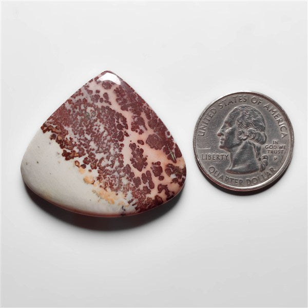 Porcelian Jasper Cabochon