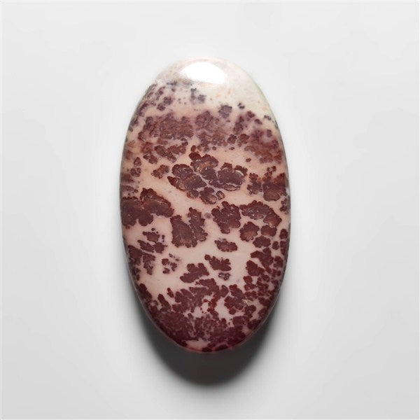 Porcelian Jasper Cabochon