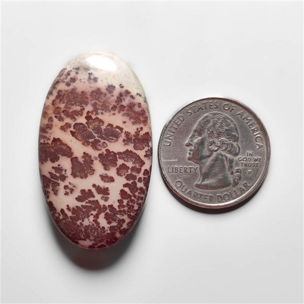 Porcelian Jasper Cabochon