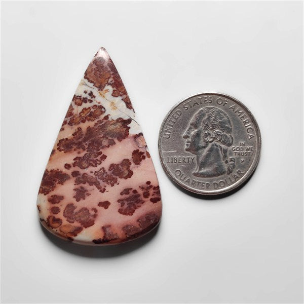 Porcelian Jasper Cabochon