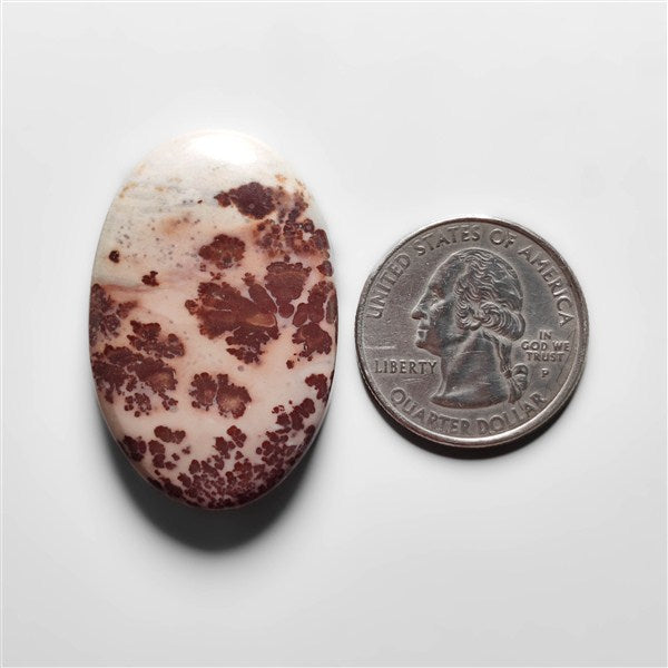 Porcelian Jasper Cabochon
