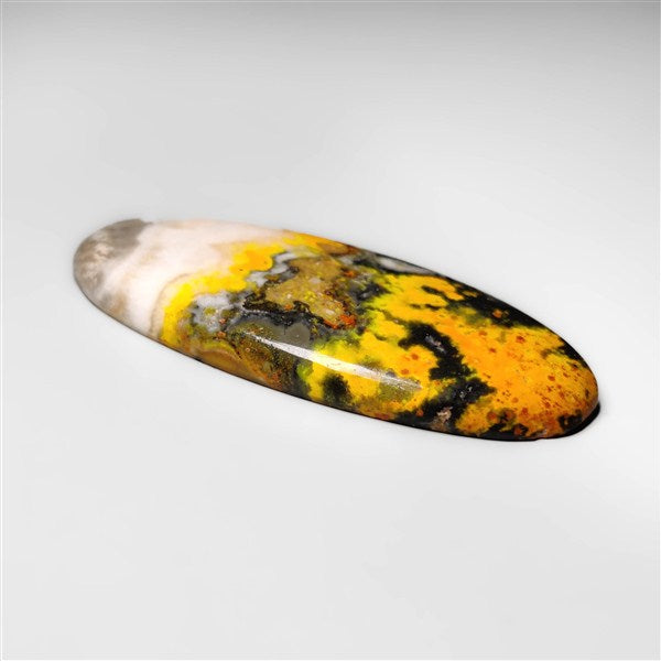 Bumble Bee Jasper