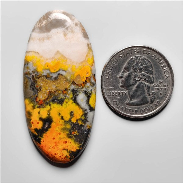 Bumble Bee Jasper