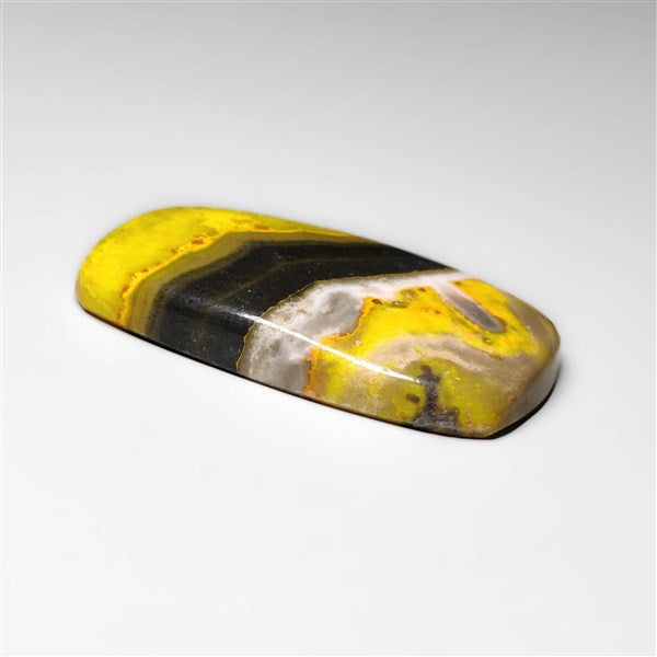 Bumble Bee Jasper