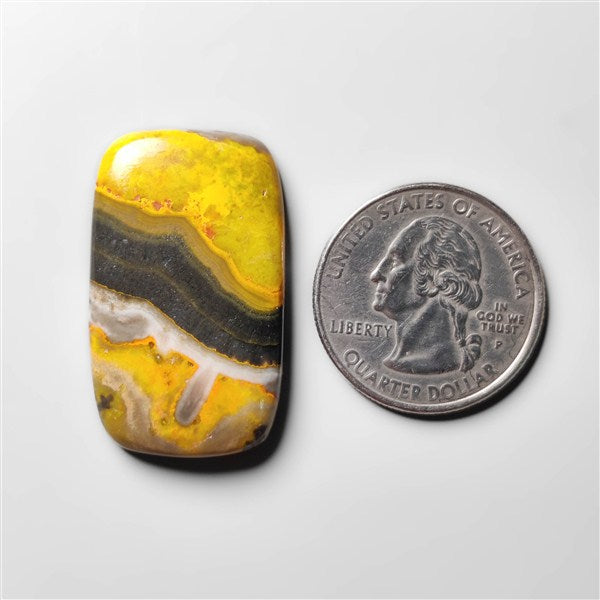 Bumble Bee Jasper
