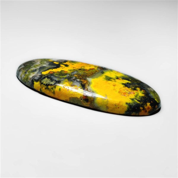 Bumble Bee Jasper