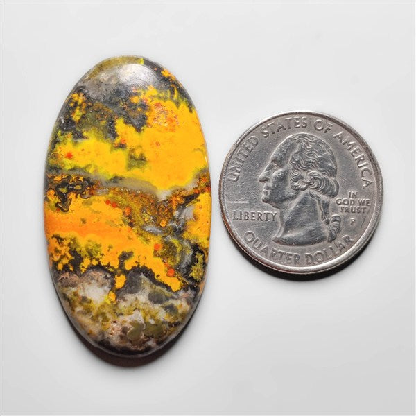 Bumble Bee Jasper