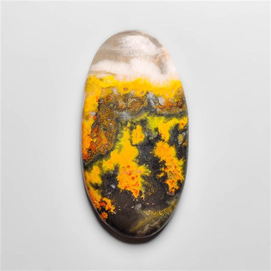 Bumble Bee Jasper