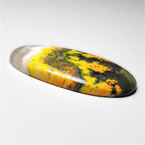 Bumble Bee Jasper