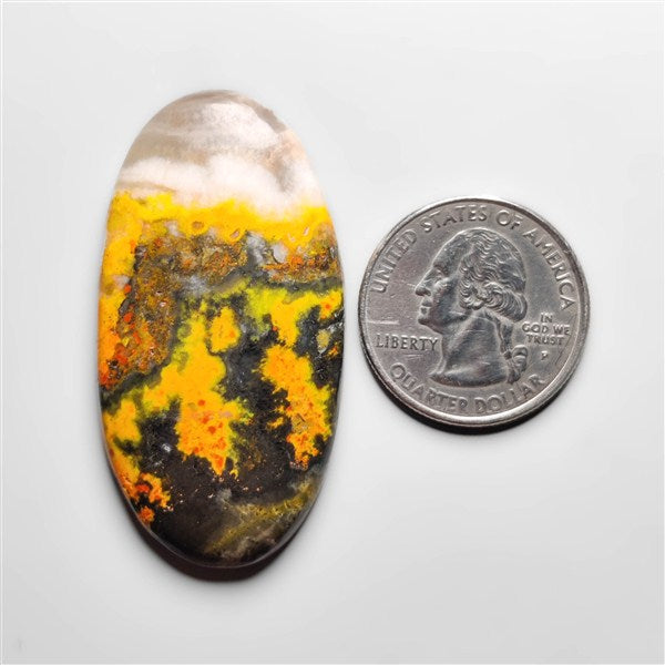 Bumble Bee Jasper