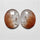 Rutilated Quartz
