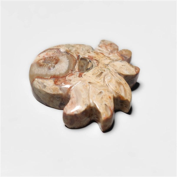 Indonesian Palmroot Octopus Carving