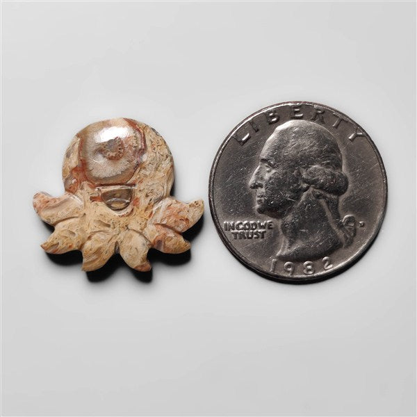 Indonesian Palmroot Octopus Carving