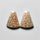 Fossil Coral
