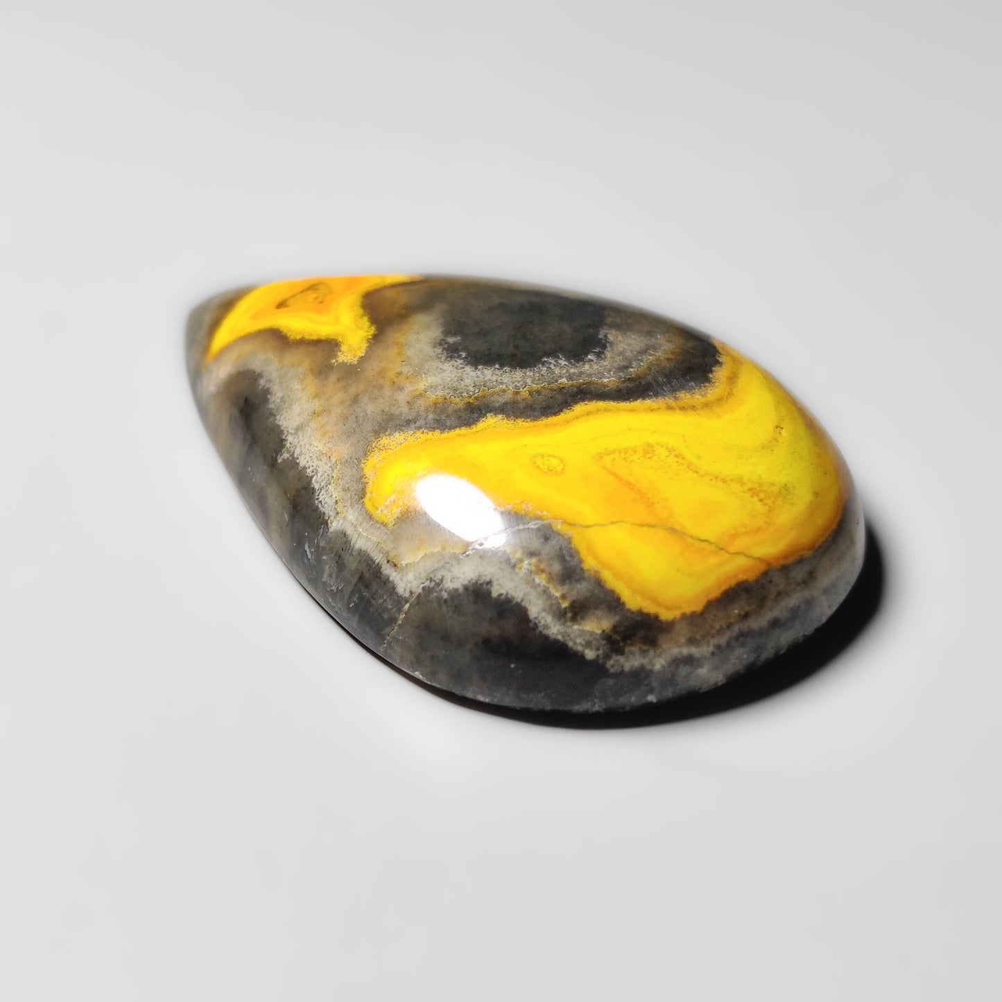 Bumble Bee Jasper