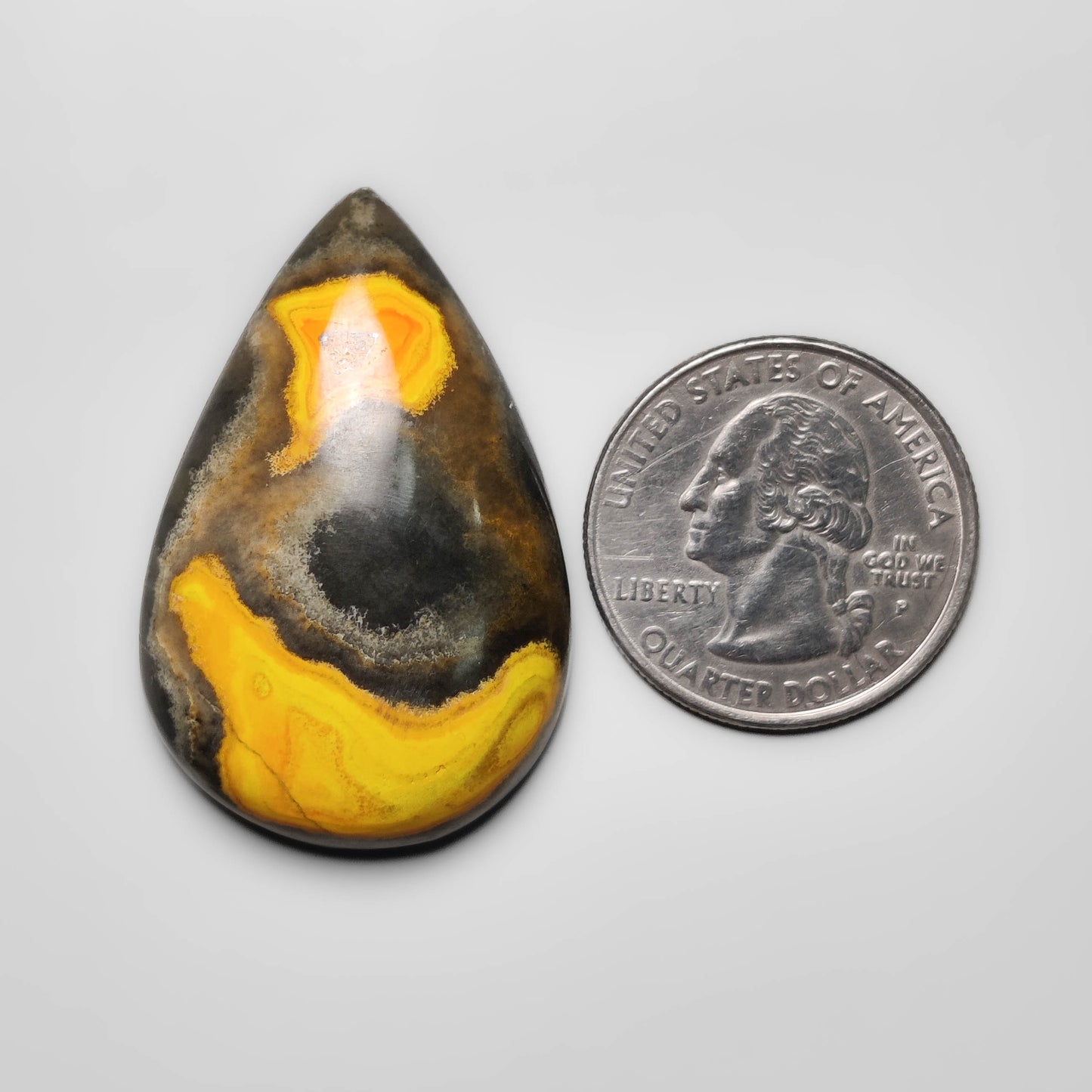 Bumble Bee Jasper