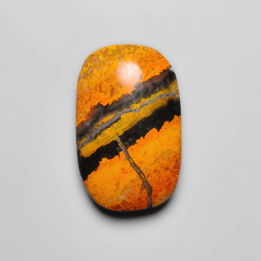 Bumble Bee Jasper