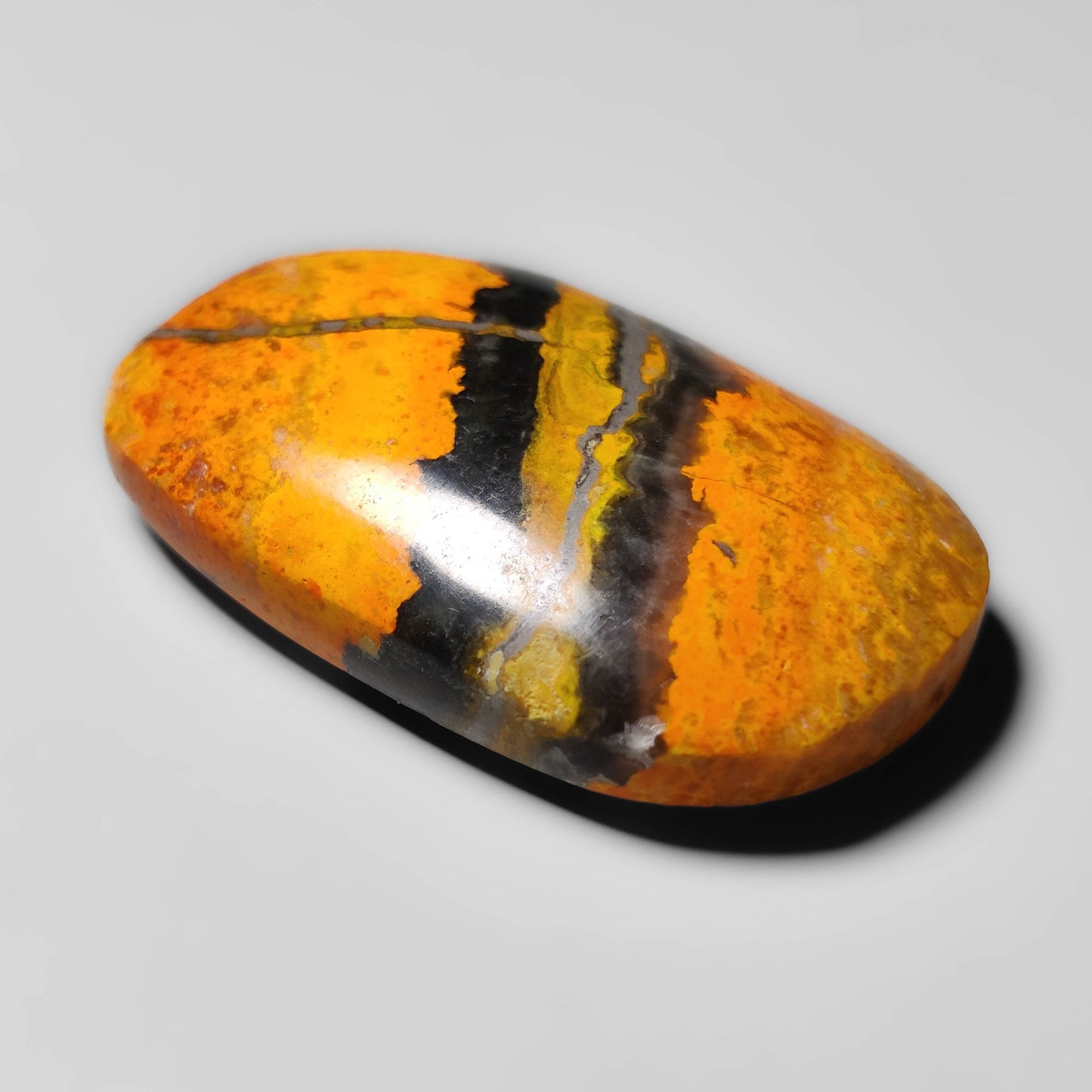Bumble Bee Jasper