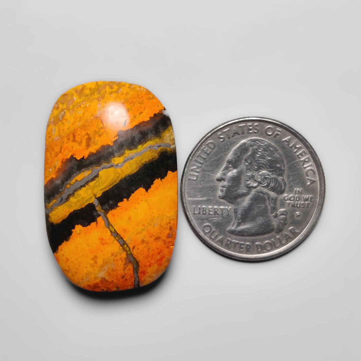 Bumble Bee Jasper