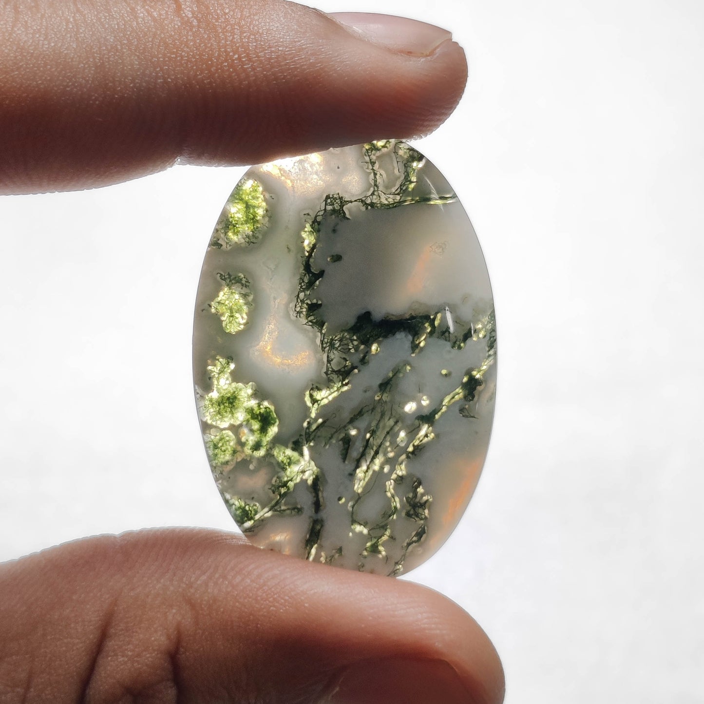 Tree Agate