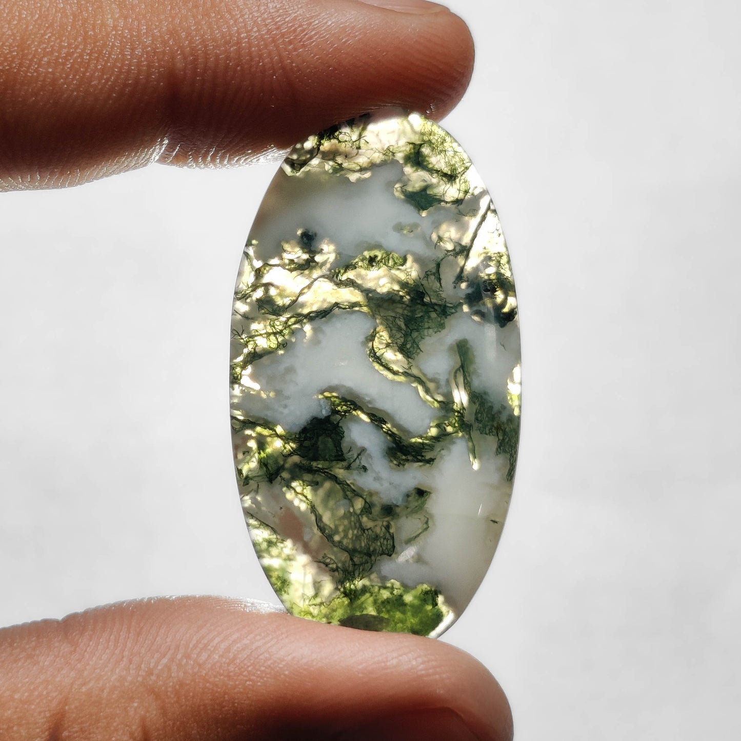 Tree Agate