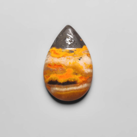 Bumble Bee Jasper