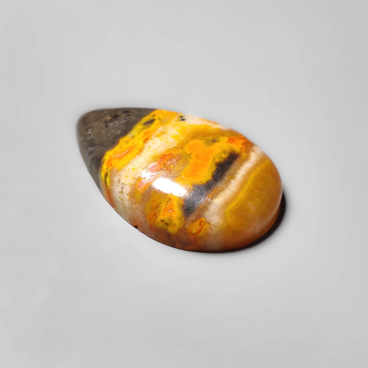 Bumble Bee Jasper