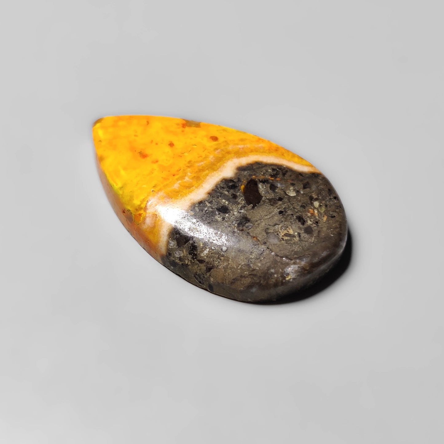 Bumble Bee Jasper