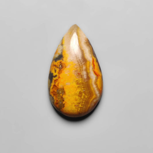 Bumble Bee Jasper