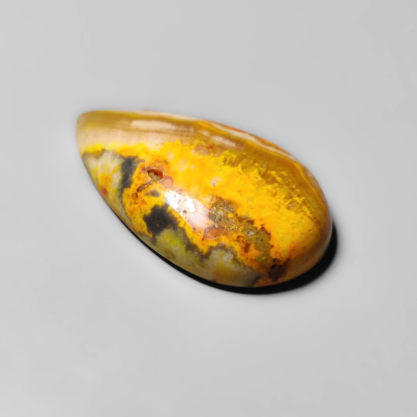Bumble Bee Jasper