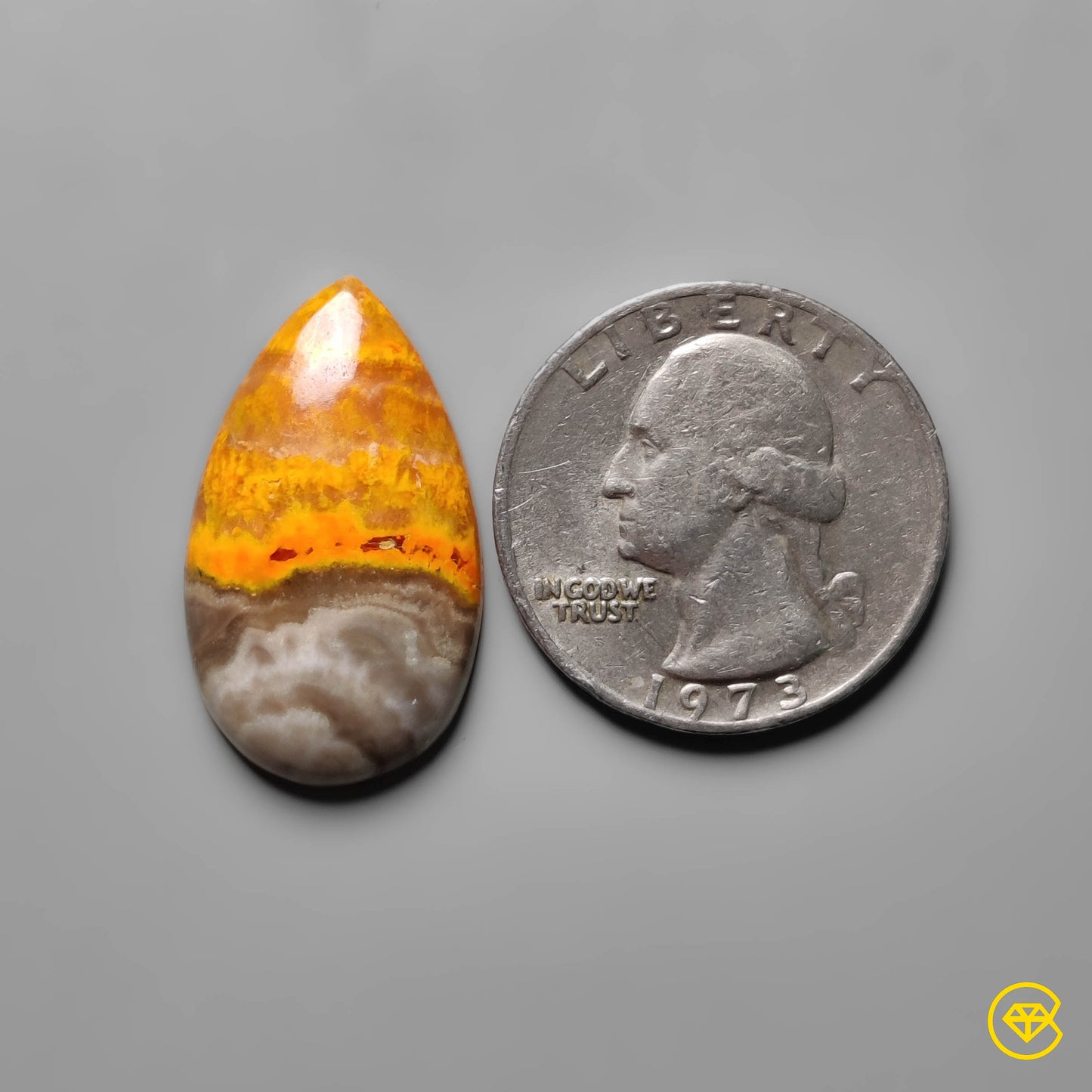 Bumble Bee Jasper