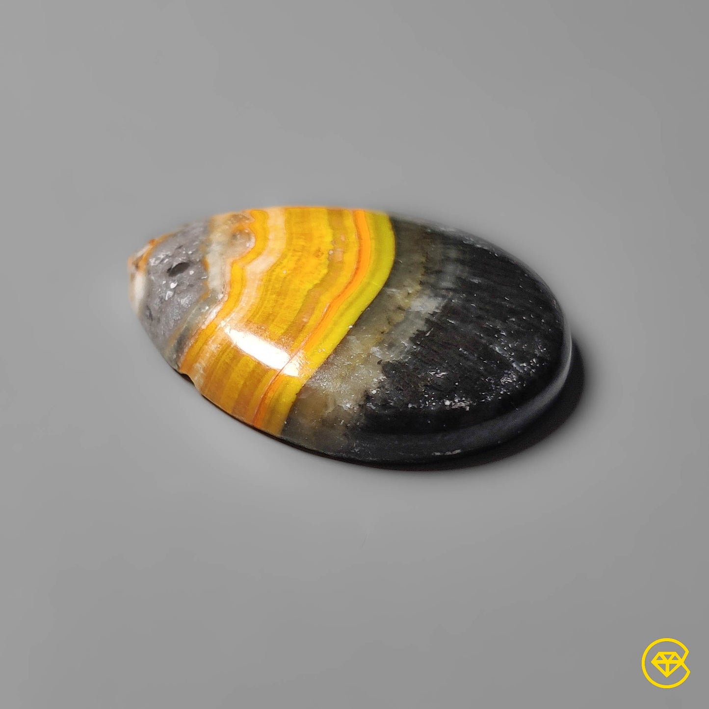 Bumble Bee Jasper