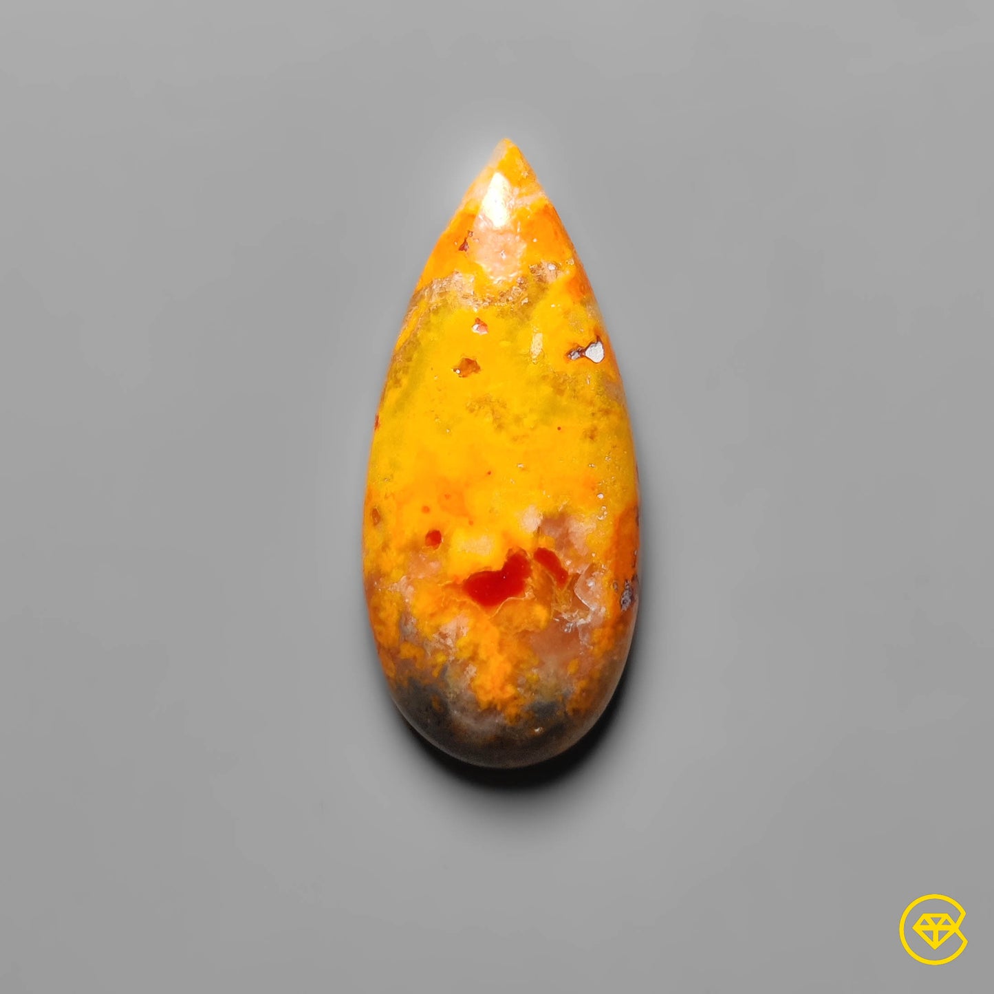 Bumble Bee Jasper