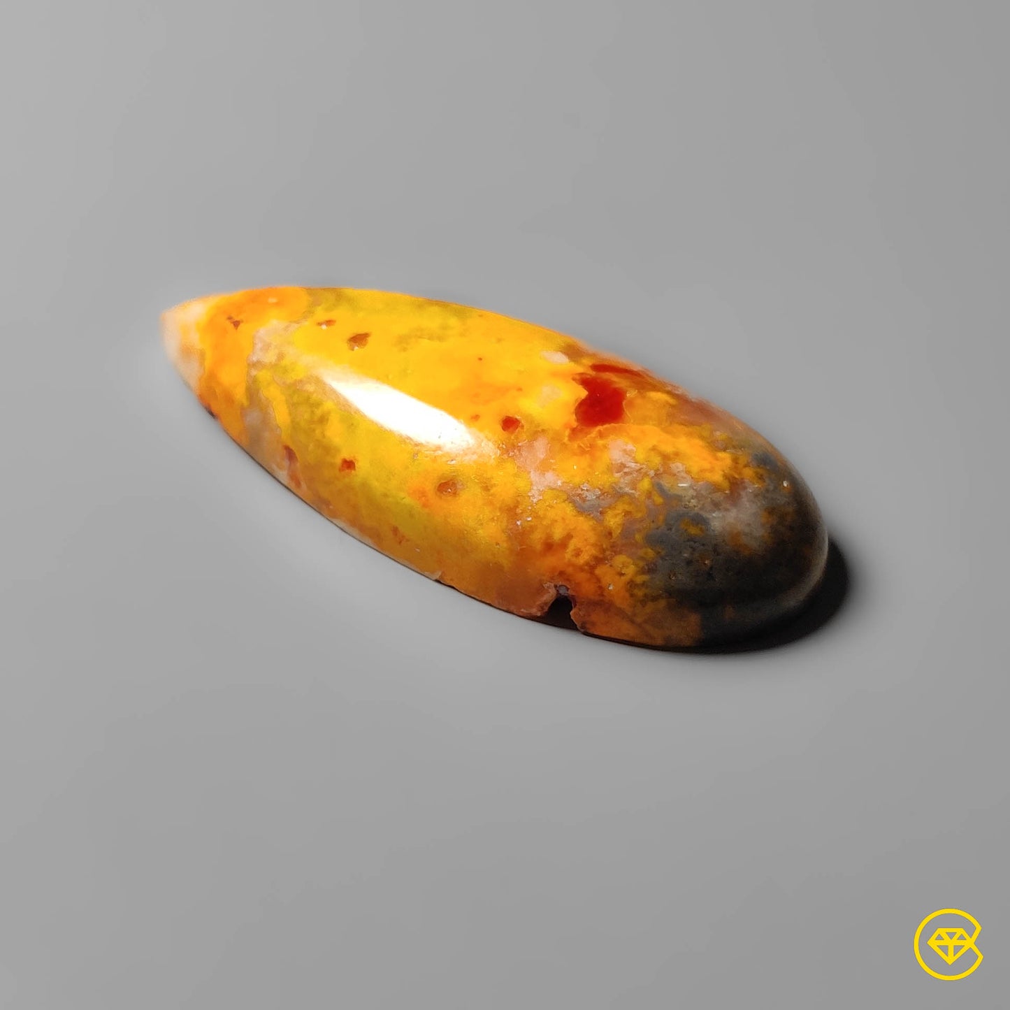 Bumble Bee Jasper