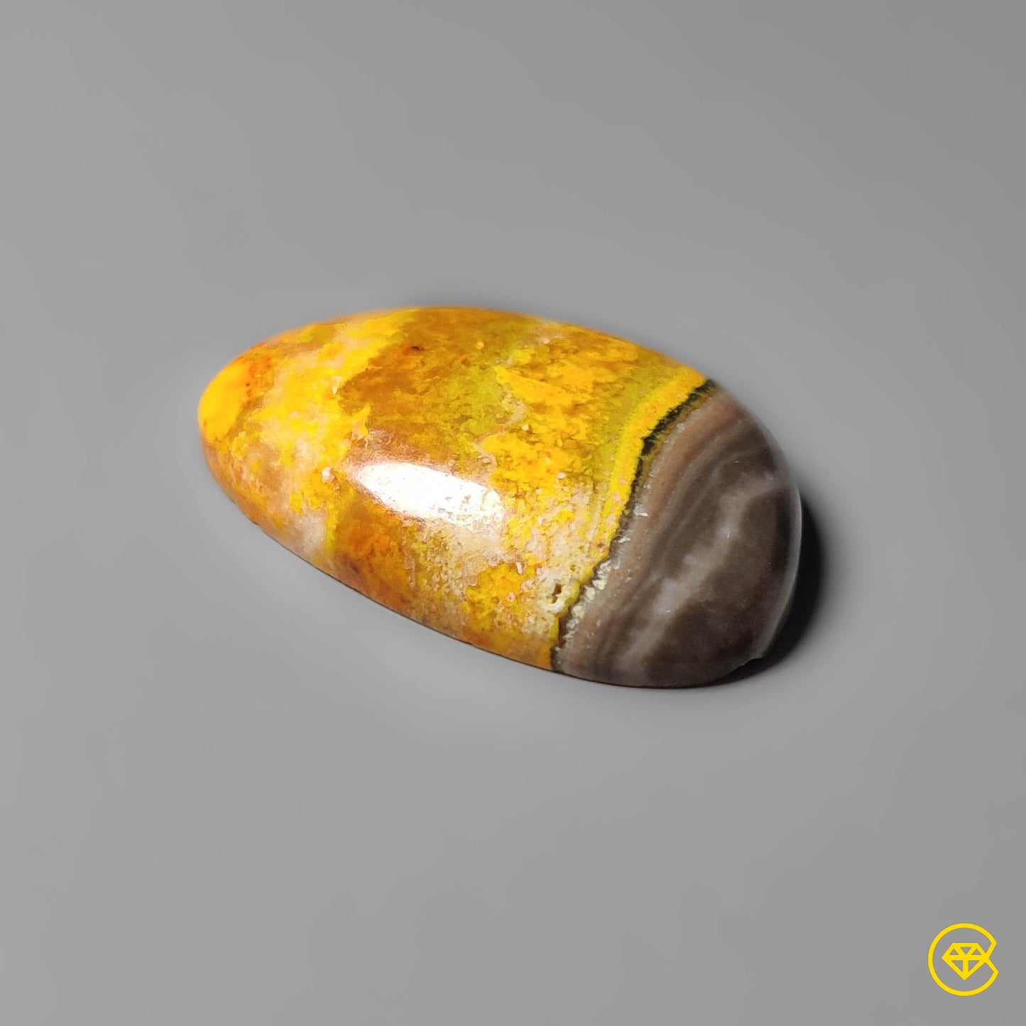 Bumble Bee Jasper