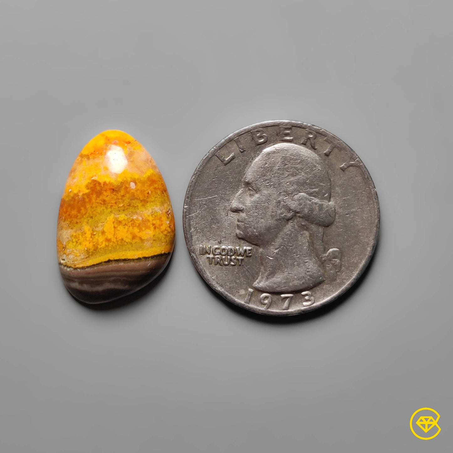 Bumble Bee Jasper