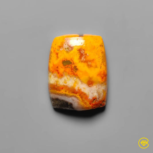 Bumble Bee Jasper