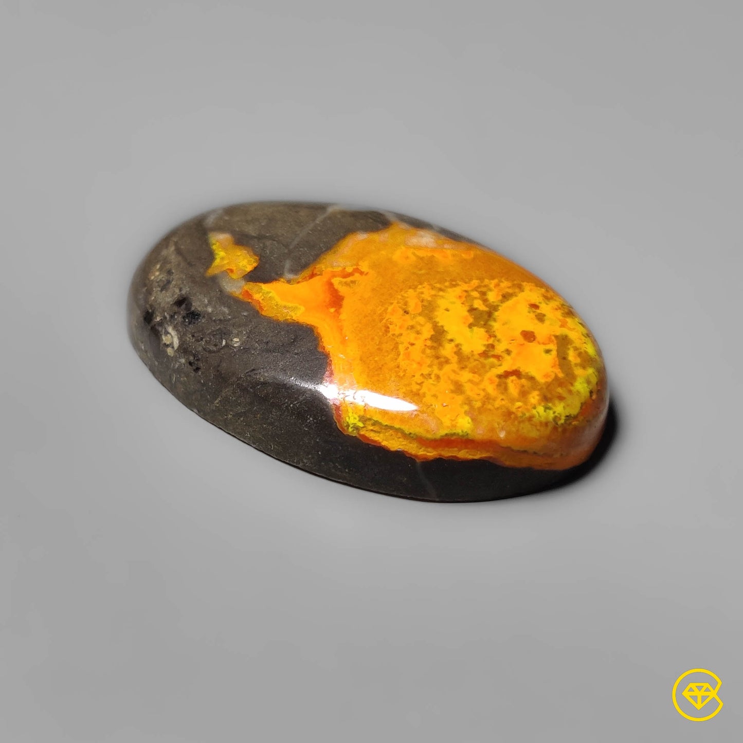 Bumble Bee Jasper