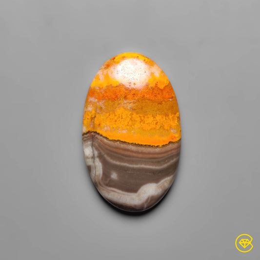 Bumble Bee Jasper